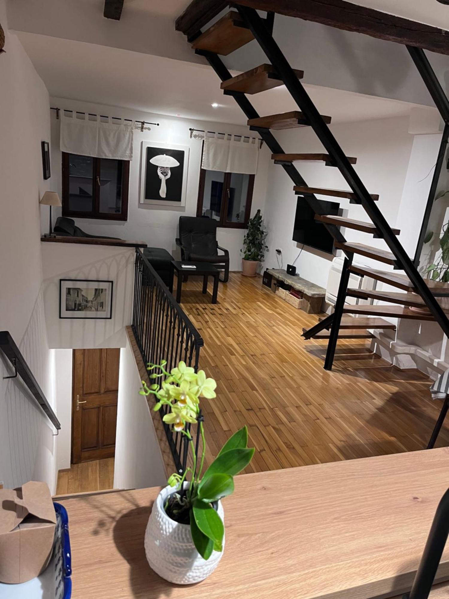 Apartment Capo D'Istria Koper Exterior photo